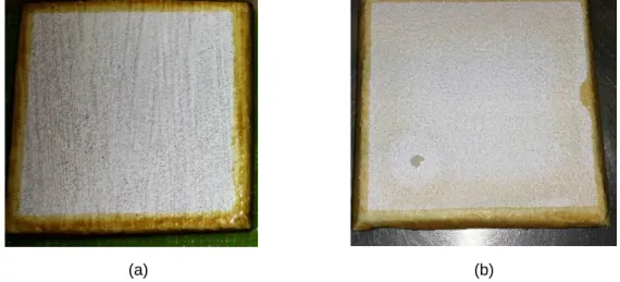 Figura 4.2 – Aspeto estético dos sistemas: (a) descoloração do sistema com aplicação a  fresco de barramento RfB; (b) cor na periferia do sistema de tinta de silicatos RsTs 