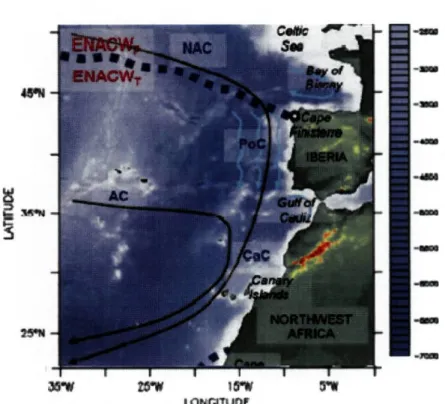 Fig. 2.2 - Representação das principais massas de água (ENACWP - -Água Atlântico-Central de origem subpolar e ENACWT - -Água  Atlântico-Central de origem subtropical) e correntes da região Norte  Atlântica Este (NAC - Corrente Norte Atlântica; PoC - Corren