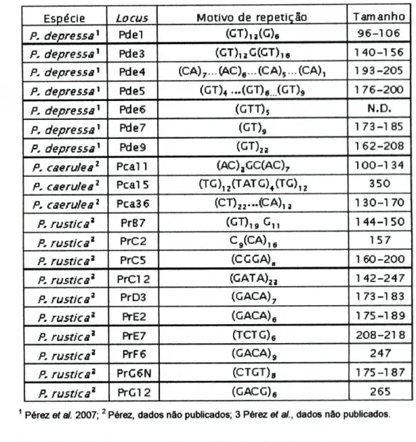 Tabela 2.1: Descrição dos microssatélites analisados: espécie onde foram isolados,  motivo de repetição e tamanho do produto de PCR (pb) nessas espécies