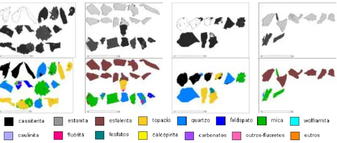 Figura 1 - Fotomicrografias das partículas extraídas das imagens de elétrons retroespalhados (BSE; acima) para  classificação e processamento no MLA (em falsa cor)