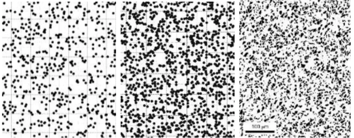 Figura 4 - Seções aleatórias, para proporções: p = 14,35 % e p = 35,87 % (coordenadas geradas em Lazarus); à  direita, seção metalográfica (micrografia de extraída de Spowart, 2006)