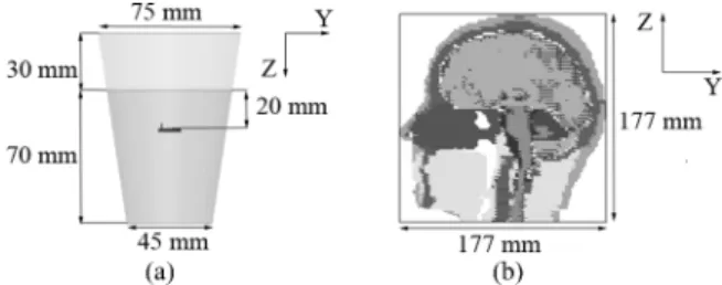 Fig. 1. Tissue models: (a) typical semi-filled plastic drinking glass and (b) 13-tissue anatomical human head.