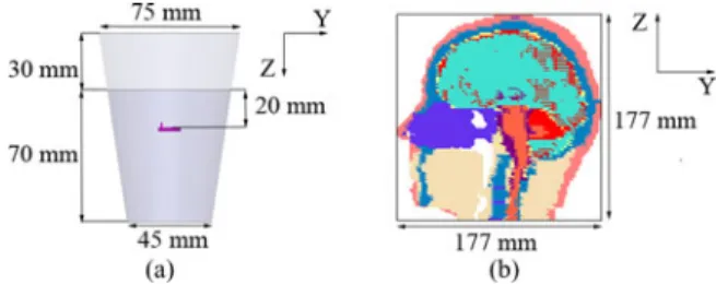 Fig. 1. Tissue models: (a) typical semi-filled plastic drinking glass and (b) 13-tissue anatomical human head.