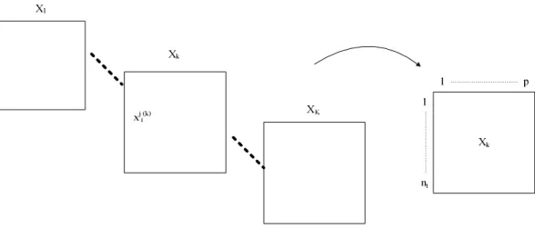 Figura 3.10 - Conjunto de dados aplicável ao método Statis Dual