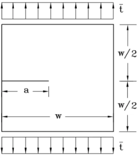 Figura 6: Placa quadrada com uma trinca simples na aresta sob modo de abertura ( h/w = 0.5 ).