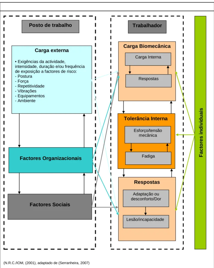 Figura 2 – Modelo conceptual das possíveis causas e influências no aparecimento/desenvolvimento de LMELT  