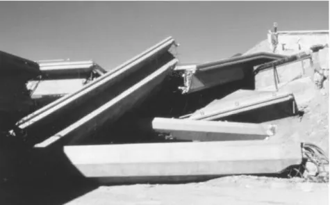 Fig. 2.3 - Colapso de uma ponte devido à rotura dos pilares, sismo de San Fernando (1971)