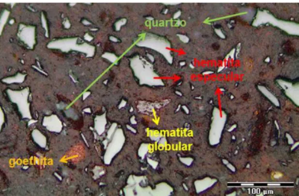 Figura 4 - Imagem obtida em microscópio de concentrado (IF) com elevado teor de titânio