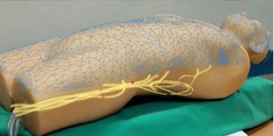 Figure 3 - Holographic view of the interior of a human body's replica [8] 
