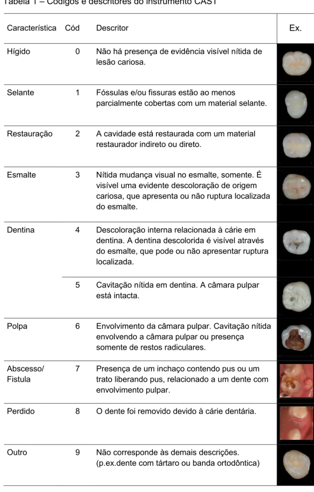 Tabela 1 – Códigos e descritores do instrumento CAST 