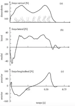 Fig. 2.1 – Função de carga de um passo em caminhada na direção vertical, lateral e longitudinal [2]