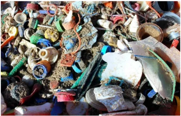 Figura 19. Um dia e meio de coleta de lixo na Praia do Amado, em Carrapateira. 