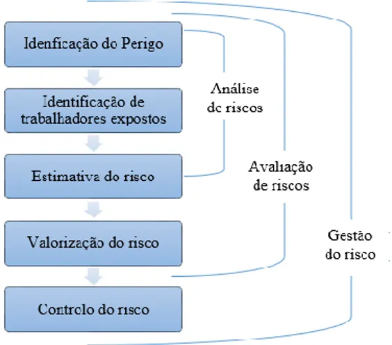 Figura 2.1 - Análise, Avaliação e Gestão de risco profissional (Roxo, 2009) 