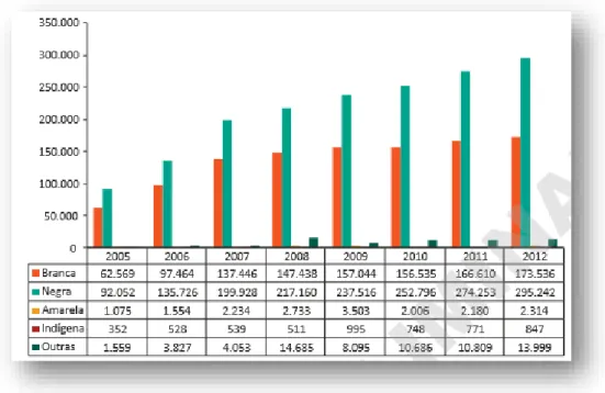 Gráfico 2 – População prisional segundo cor/raça Brasil, 2005 a 2012. 