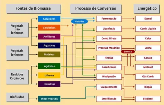 Figura 1 - Diagrama esquemático dos processos de conversão energética da biomassa. 