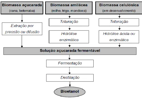 Figura 2 - Rotas tecnológicas para a produção de etanol. 