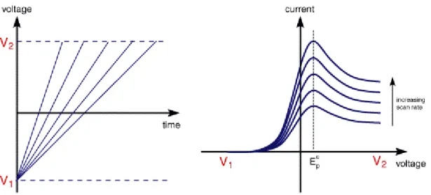 Figura 10 – Voltametria de varrimento linear: À esquerda: variação do potencial com o tempo; À direita: variação da  corrente com o potencial