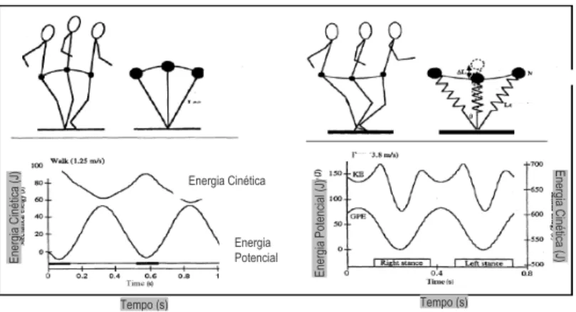 Figura 2.4: Representação esquemática da marcha e corrida humana. Paradigma do pêndulo invertido (retirado de  (Farley, 1998))