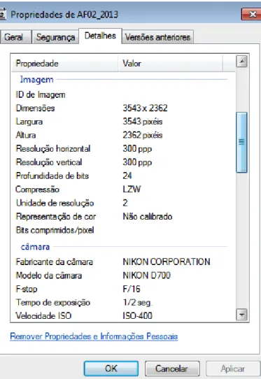 Figura 12: Meta informação técnica (características técnicas da imagem) 