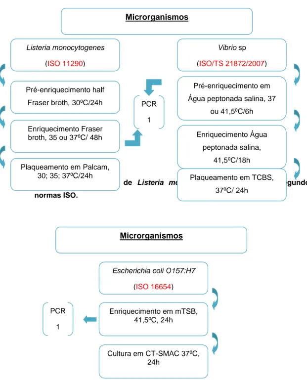 Figura 1- Crescimento de Campylobacter sp e Salmonella sp segundo normas  ISO. 