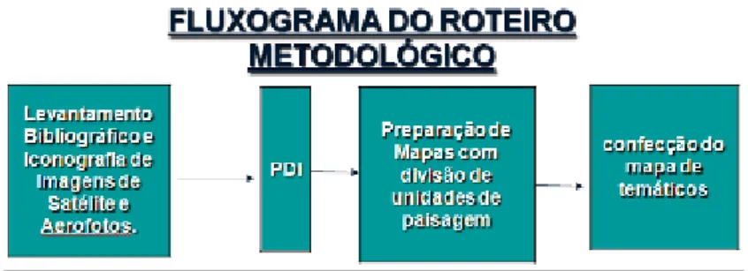 Figura 2: Esquematização simplificada do procedimento metodológico. 