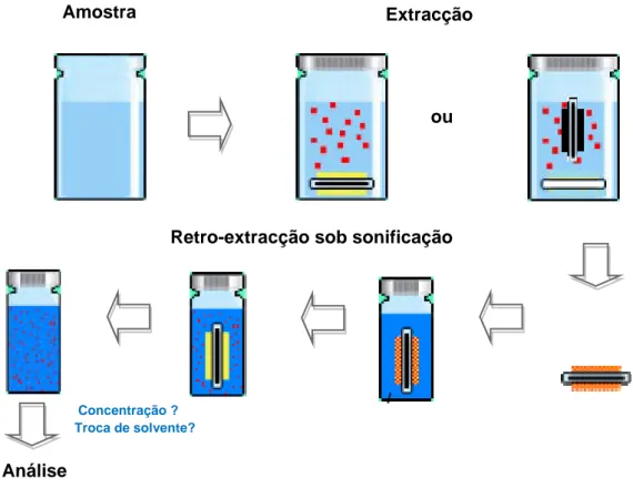 Figura 5.3 – Ilustração genérica do processo de pré-concentração dos analitos. 