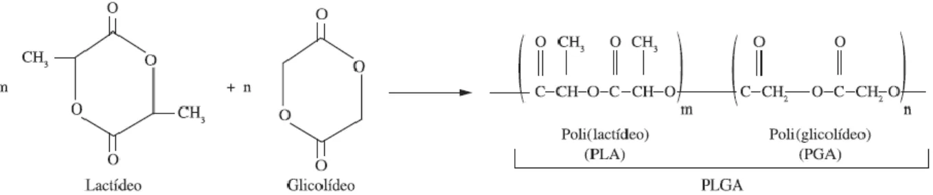 Figura  11:  Estruturas  químicas  dos  dímeros  e  polímeros  e  reação  de  copolimerização  do  PLGA,  adaptado  de  [49] 