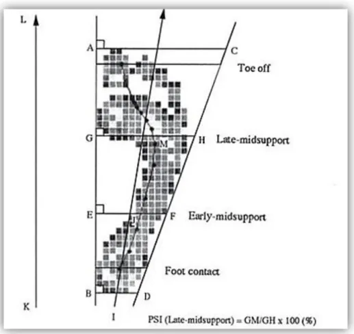 Figura 2.11 – Imagem explicativa dos parâmetros utilizados no cálculo do índice de pronação -supinação e o  ângulo de progressão do pé