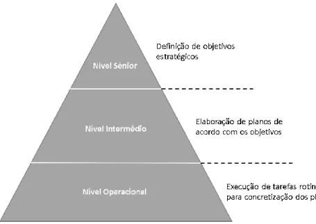 Figura 6 Três níveis de gestão de uma organização 