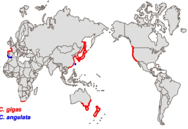 Figura 1.1 - Distribuição atual das espécies C. angulata e C. gigas (Batista, 2007). 