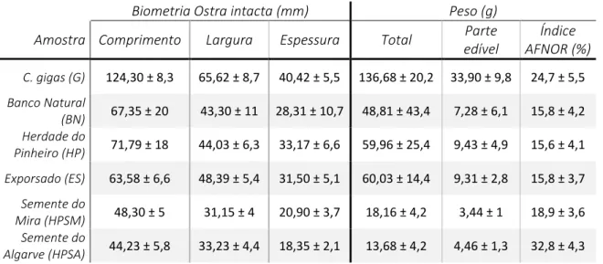 Tabela 3.1 - Médias e respetivos desvios padrão dos dados biométricos (mm), pesos totais (g) e Índices AFNOR das  várias amostras