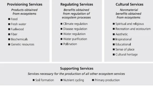 Fig.  4.  Ecosystem  services  categories  according  to  the  Millennium  Ecosystem  Assessment