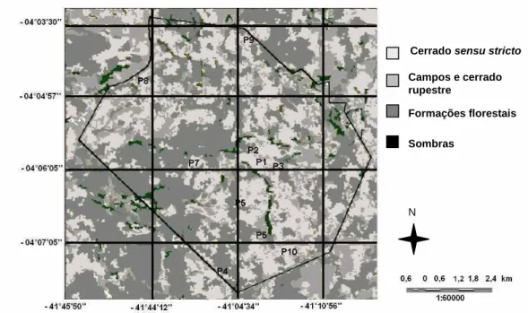 Figura 2. Mosaico vegetacional e localização das parcelas (P1 a P10) no Parque Nacional de  Sete Cidades, Piauí (Fonte: Oliveira et al