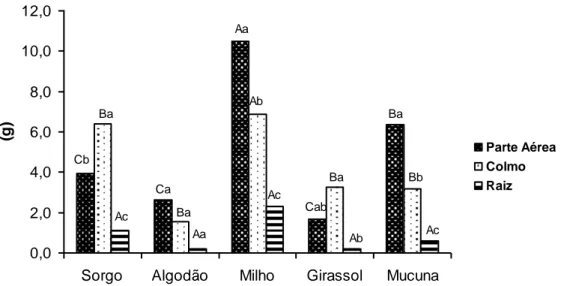 Figura 1: Produção da biomassa seca (g planta -1 ) das diferentes espécies vegetais após o período de plantio