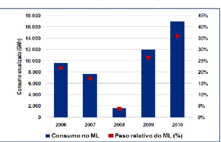Figura 8: Peso do consumo dos clientes de mercado livre por segmento (2006 – 2010) 