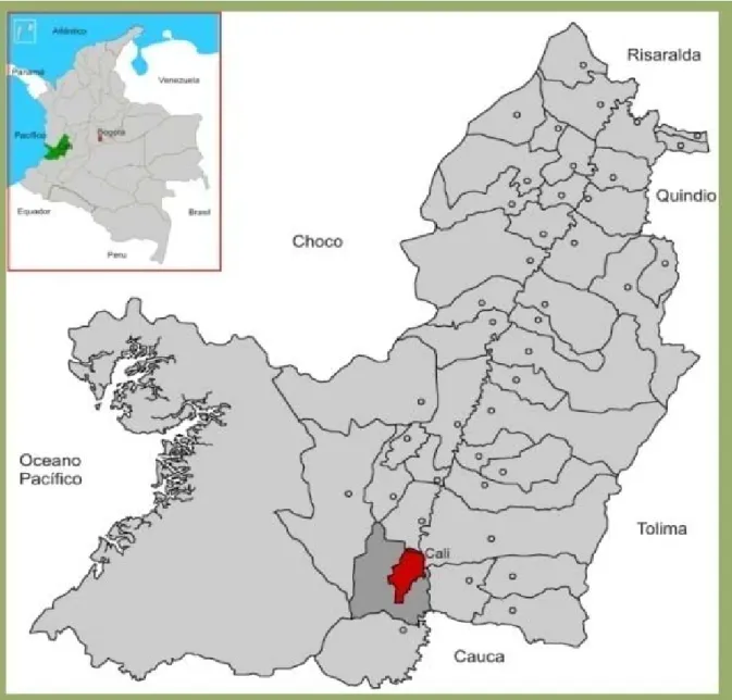 Figura 1. Localização da cidade de Cali no Estado do Valle e na Colômbia. 