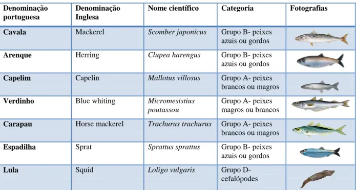 Tabela II - Quilocalorias de pescado necessárias para as diferentes fases de vida dos mamíferos marinhos