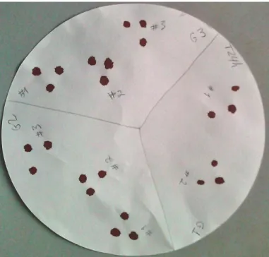 Figura 11: Esquema da recolha da amostra de sangue dos ratinhos em papel de filtro. 