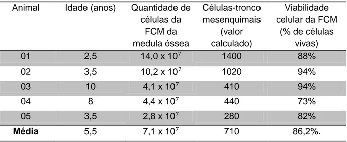 Tabela 1. Contagem de células da fração mononuclear (FCM) obtidas em 20 mL de  medula óssea, quantidade de células-tronco mesenquimais presentes na FCM (valor  calculado) e viabilidade de células da FCM