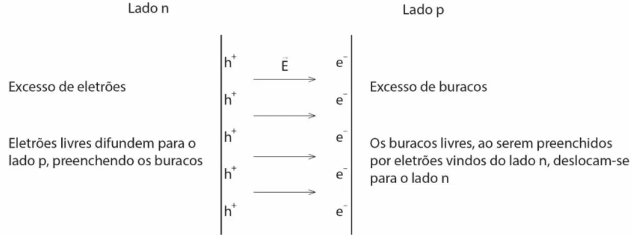 Figura 2.2 - Campo elétrico intrínseco de uma junção p-n. 
