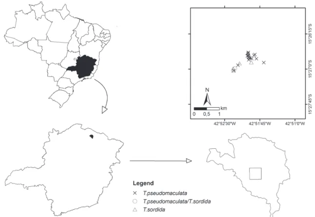 Fig. 1: the locality selected for the study in the municipality of Mato Verde, in Jurema, showing the collection points for triatomines in 2007/2008  and maps of Minas Gerais state, Brazil, that were constructed in ArcGIS.