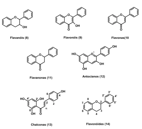 Figura 8: Núcleo fundamental flavoídico (14) e suas sub-classes: flavanóis (8), flavonóis (9),   flavonas (10),flavanonas (11),antocianos (12) e chalconas (13) 