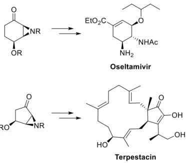 Figure 5 – Proposed synthesis of oseltamivir and terpestacin. 