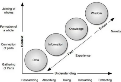 Figura 8- Dados, Informação, Conhecimento, Sabedoria (Paulo, 2014) 