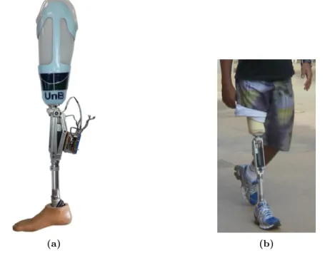 Figure 2.2: RLEG. (a) The current prosthesis prototype. (b) The amputee volunteer wearing the protoype during the alignment test.