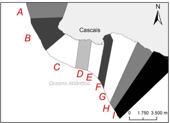 Figura 2: Divisão da área de estudo em Zonas: A- Guincho; B- Cabo Raso; C- Oitavos; 