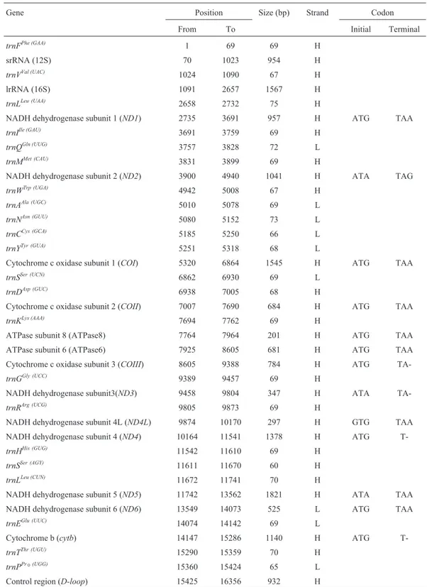 Table 2 - Characteristics of the brown brocket deer (Mazama gouazoubira) mitochondrial genome.