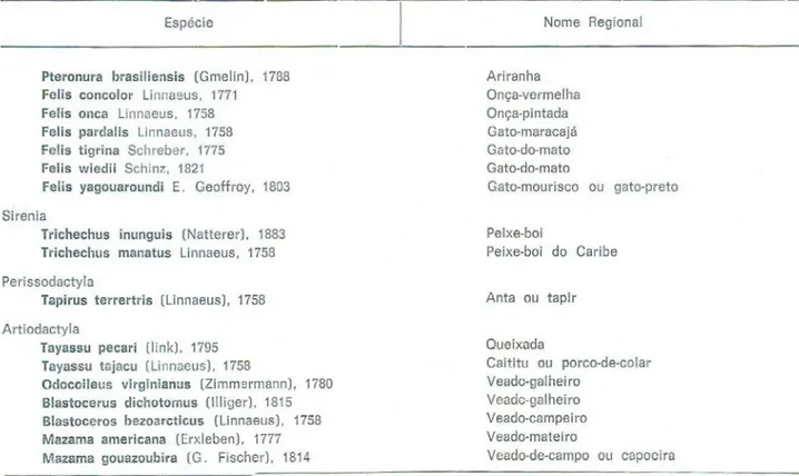 Fig. 2 EDENTATA  (preguiça, tamanduá e tatu] Página 