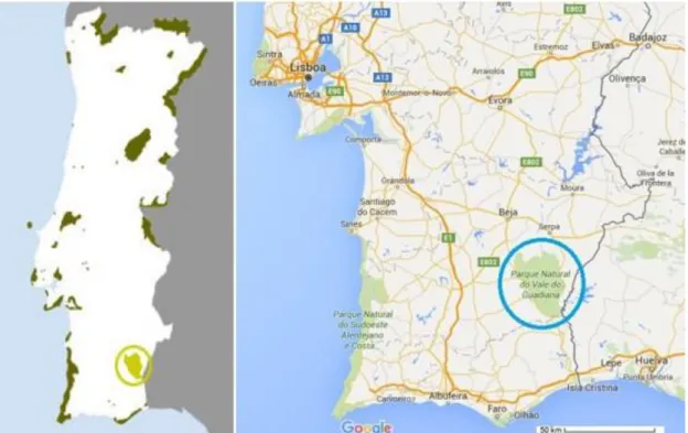 Figura 6 - Mapa de localização do Parque Natural do Vale Guadiana / Fonte: ICNF e Google