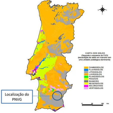 Figura 9 - Carta dos solos de Portugal Continental segundo a classificação da FAO / Fonte: Atlas do Ambiente Digital